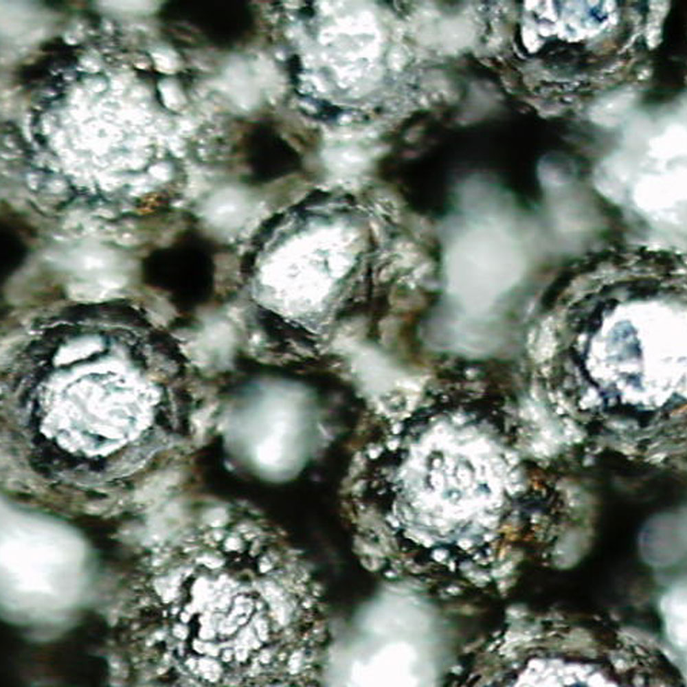 多孔質金属の一例